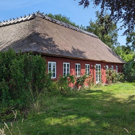 Under Valnodden Bed & Breakfast Stubbekøbing Exterior foto