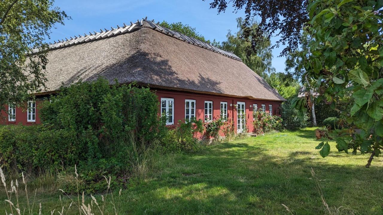 Under Valnodden Bed & Breakfast Stubbekøbing Exterior foto