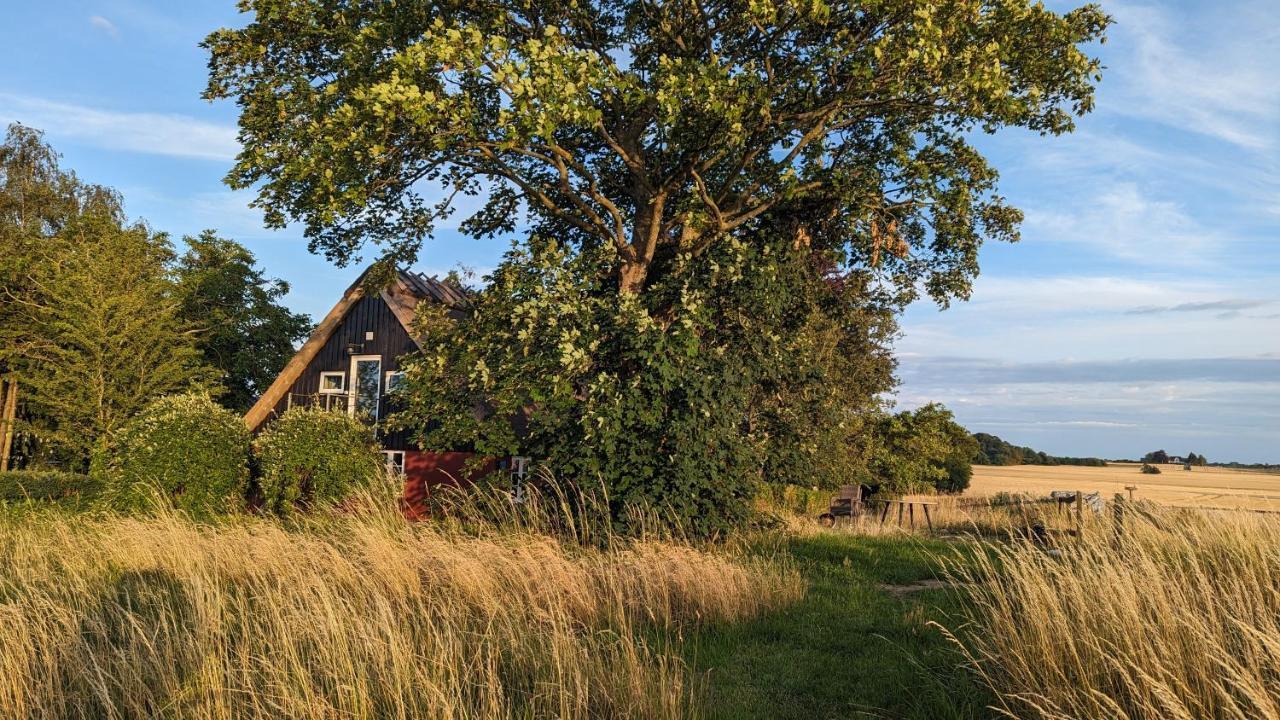 Under Valnodden Bed & Breakfast Stubbekøbing Exterior foto